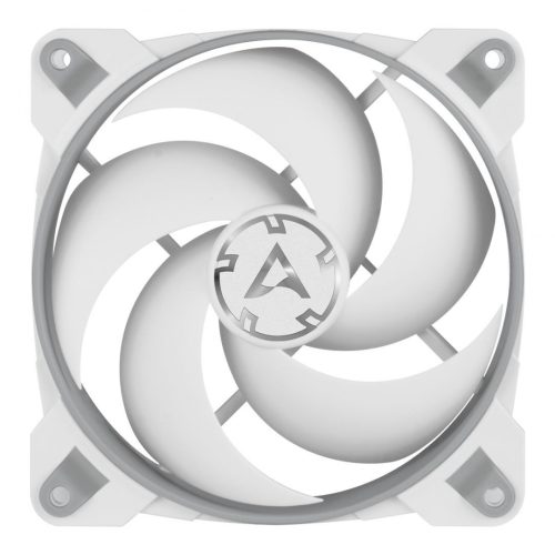 Arctic BioniX P120 Grau/Weiß