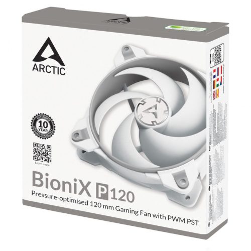Arctic BioniX P120 Grau/Weiß