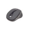 Gembird MUSWB2 Bluetooth Maus Schwarz