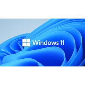 Microsoft Windows 11 Pro 64-Bit HUN DVD