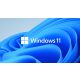 Microsoft Windows 11 Pro 64-Bit HUN DVD