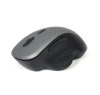 Gembird MUSW-6B-02-BG kabellose optische Maus Schwarz/Raumgrau