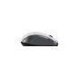 Genius NX-8008S kabellose leise Maus Weiß/Grau