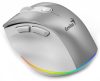 Genius Ergo 9000S Pro kabellose Maus Silber