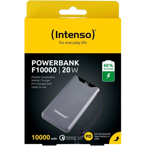 Intenso F10000 10000mAh Powerbank Grau