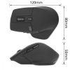 ACT AC5151 Kabellose Maus Schwarz