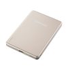 Intenso MW10000 10000mAh PowerBank Champagner