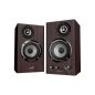 Genius SP-HF1812BT Bluetooth-Lautsprecher Dunkelbraun