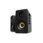 Thonet & Vander Kumpel 2.0 speakers Black