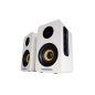 Thonet & Vander Kumpel 2.0 speakers White