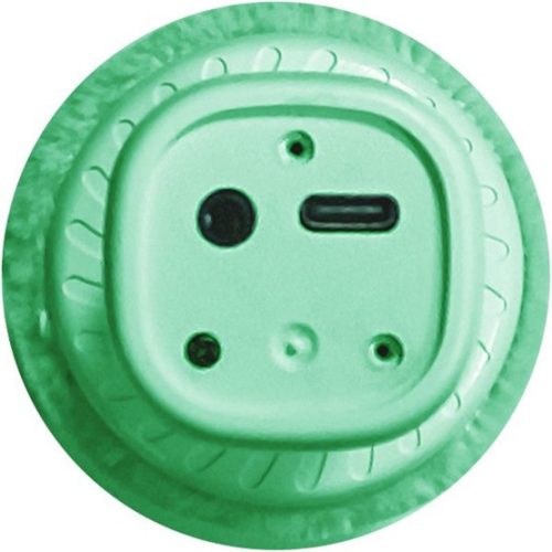 Denver KMS-30GN Karaoke Mikrofon