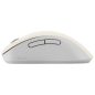 ASUS MD102 Kabellose Maus - Beige