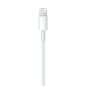 Apple Lightning - USB Kabel - 0,5m