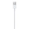 Apple Lightning - USB Kabel - 0,5m