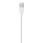 Apple Lightning - USB Kabel - 0,5m
