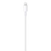 Apple USB-C - Lightning Kabel - 2m