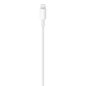 Apple USB-C - Lightning Kabel - 2m
