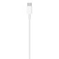 Apple USB-C - Lightning Kabel - 2m