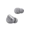 Apple Beats Studio Buds Plus - Kosmisches Silber