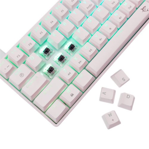 Weißer Hai GK-004231W/BR-US SHINOBI-2 kabelgebundene mechanische Gaming-Tastatur - weiß - US